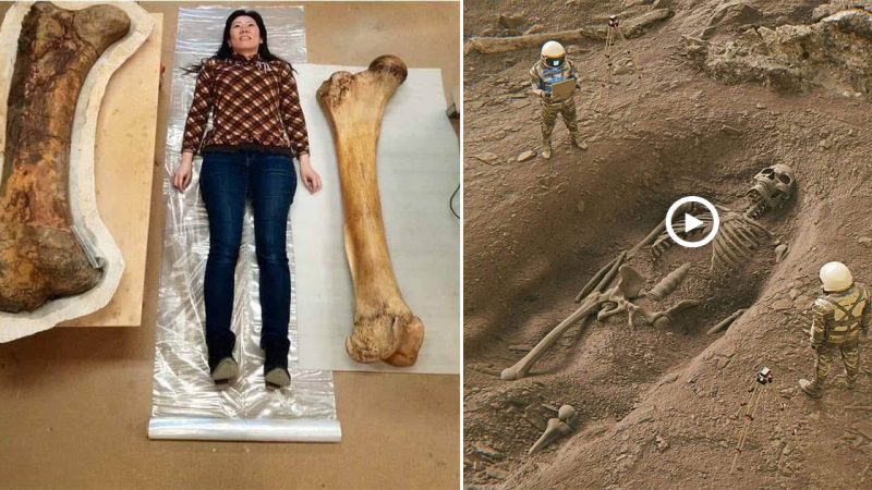 Archaeologists Have Been Startled by Finding of The Bones of The Ancient, Powerful Warriors