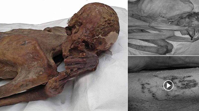 World’s Oldest Figural Tattoos Found On 5,000-Year-Old Egyptian Mummies