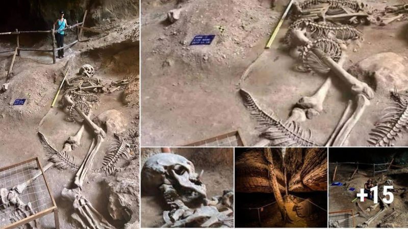 The meaning of the huge skeleton fighting a serpent that was found in a cave in Thailand was revealed