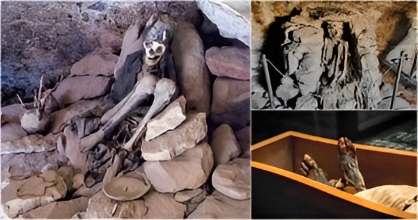 Random Corpses are Becoming Mysteriously Mummified in Portugal