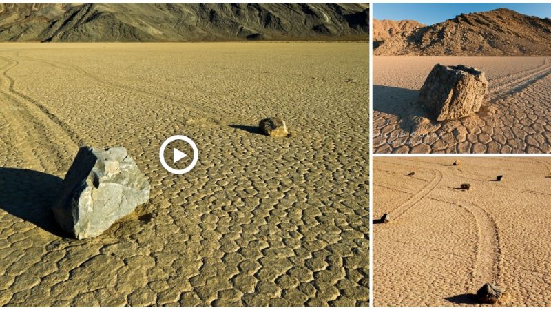 Unsolved mystery: ‘Sailstones’ at Racetrack Playa might shift every day