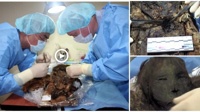 A mummified Russian “polar princess” from 900 years ago has been discovered. She still has eyelashes and hair.