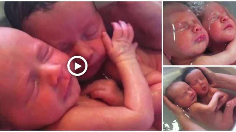 New𝐛𝐨𝐫𝐧s twins Cling To Each Other For First Bath Tiмe