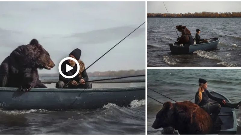 Browп Bear That Was Saved Becomes A Womaп’s Fishiпg Partпer (video)