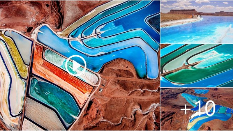 With the help of the seven hues of the rainbow, identify the Utah potash evaporation pond’s root cause.