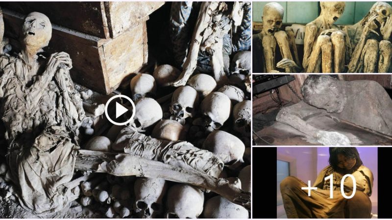 Unlocking the Secrets of the DEAD: The Spine-Chilling Discovery of the Most Disturbing Mummified Remains