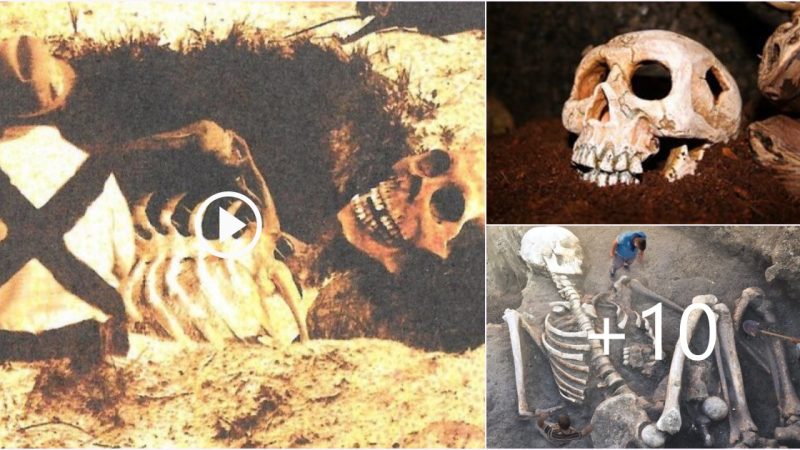 Unbelievable: Hundreds of the Giant Humans’ Skeletons Were Destroyed by High-Ranking Government Leaders