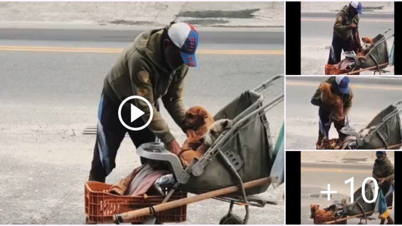 Homeless boy and his pet show sincere and unconditional love