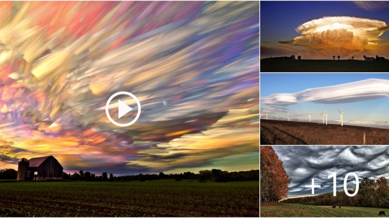 Discover all the unique and gorgeous cloud forms that are so difficult to observe.