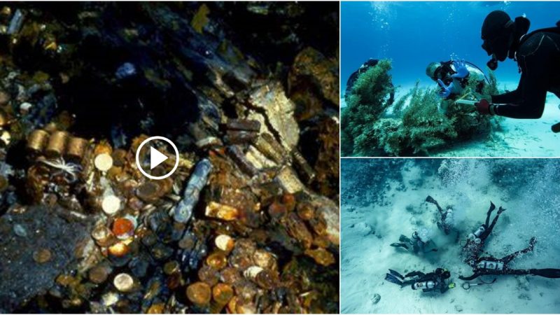 A treasure was unearthed in a ship full of gold and silver that had been at the bottom of the ocean for 350 years.