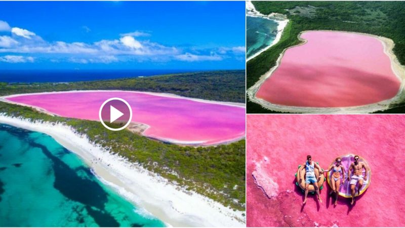 When they hear why Lake Hillier in Australia is pink, everyone gasps.