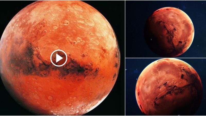 Mars, also known as the Red Planet, is the fourth planet from the Sun in our solar system.