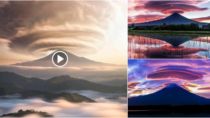 Lovely lenticular clouds formed on top of nature’s majestic volcano.