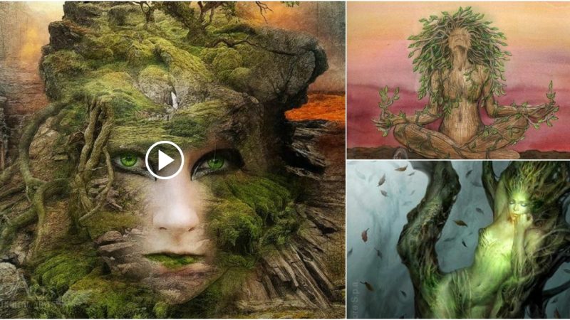 Artistic Masterpieces Depicting Nature and Humanity through Paintings.