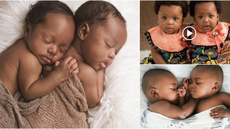 Collection of images of babies in love who have known love since birth.