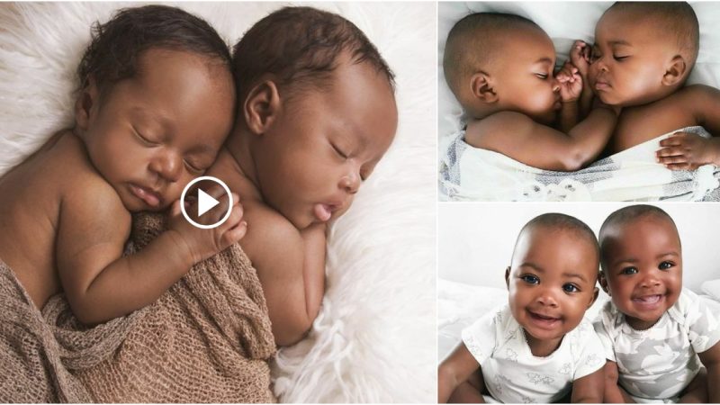 A collection of photographs of a newborn in love, who is reported to have known love from birth till today.