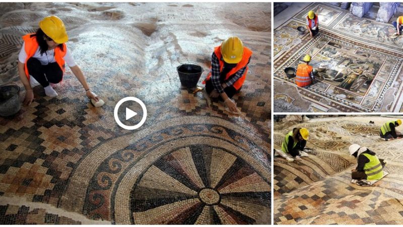 Giant carpet which is the world’s largest mosaic unearthed in Türkiye