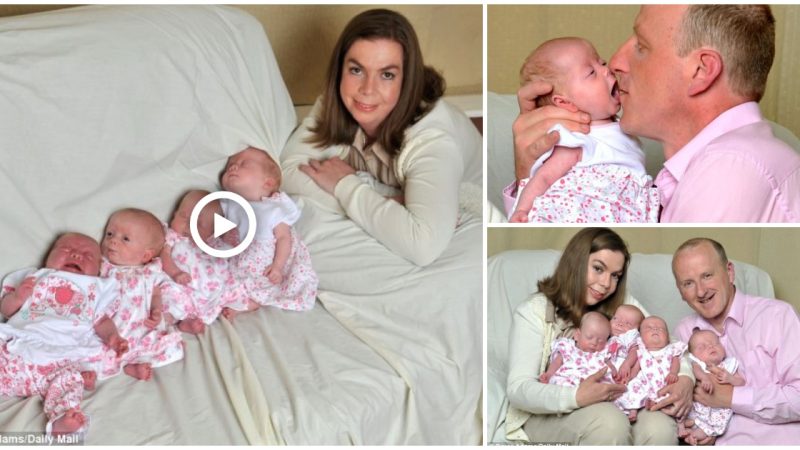 Aww, cute babies: Couple welcome quadruplets after suffering decades of childlessness