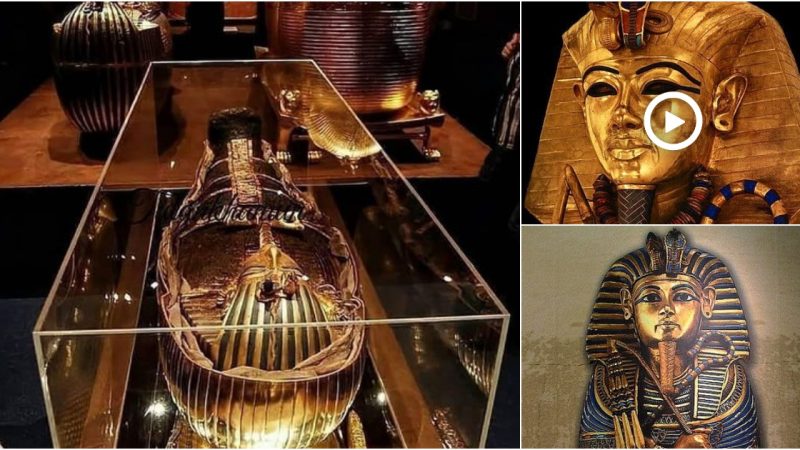 King Tut’s sarcophagus uncovered