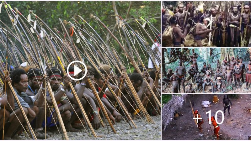 The Sentinelese: The Enigmatic and Uncontacted Tribe of North Sentinel Island