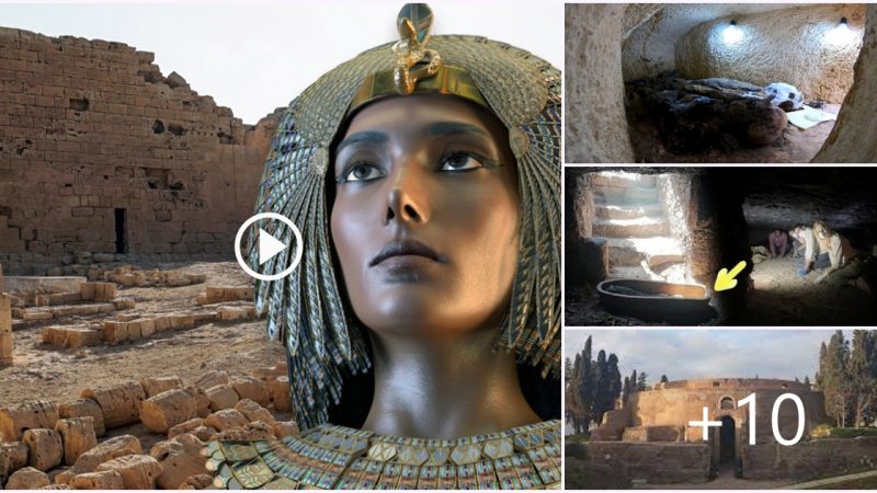 Why the discovery of cleopatra tomb would rewrite history.