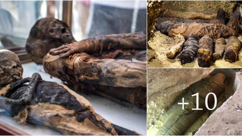 Fantastic! Egypt Discovers a 2,500-Year-Old High Priest Mummy Along With Two Other Mummies In A Forgotten Cemetery