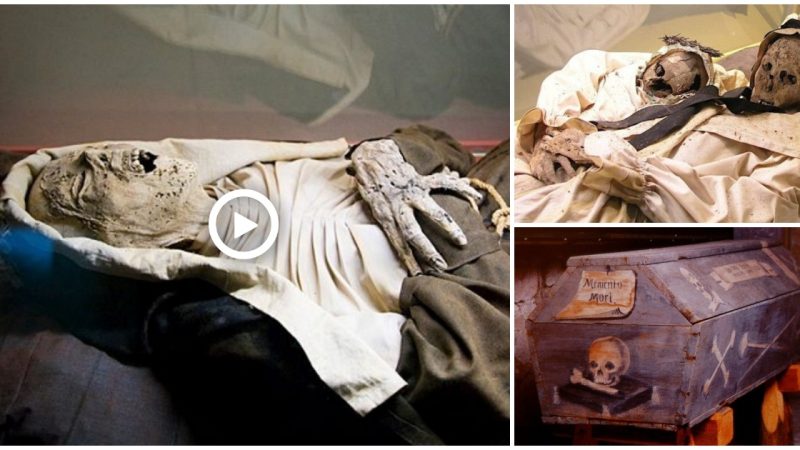 A container filled with unexplained remains of an 18th century family