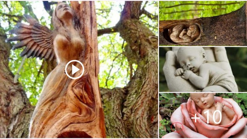 Three Incredible Tree Sculptures: Nature Transformed into Art