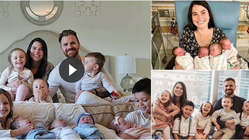 A touching story about a couple’s process of adopting 4 children and raising children.