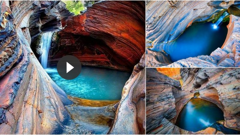 Enjoy Wonders Among Spectacular Gorges – an Unforgettable Experience in Karijini National Park’s Spa Pool.