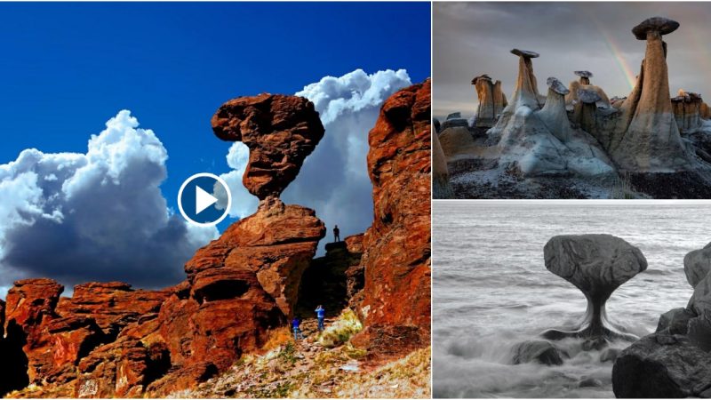 Mysterious Gravity-Defying Rocks in Precious Balance.