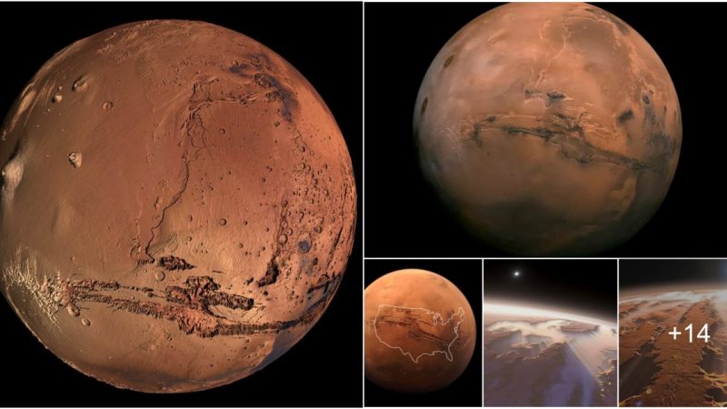 Valles Marineris, one of the Solar System’s largest canyons, is found here.