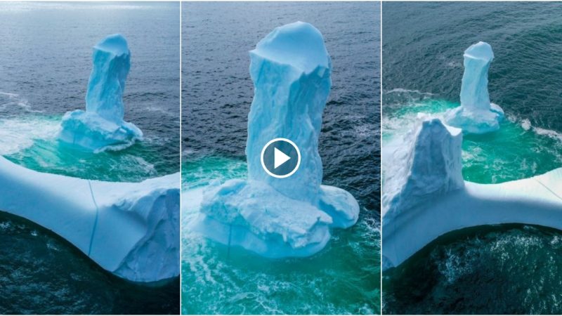 Nature’s Playful Artistry: The Viral Sensation of Phallic-Looking Iceberg Growlers Captivating the Internet.