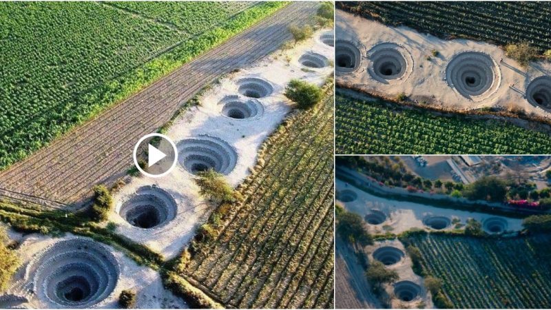 “The Enduring Functionality of the 1,500-Year-Old Cantalloc Aqueducts in Peru’s Arid Deserts”