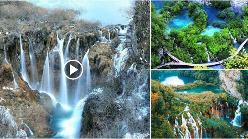 Croatia’s Plitvice Lakes National Park is stunningly beautiful and a must-see on your upcoming vacation.