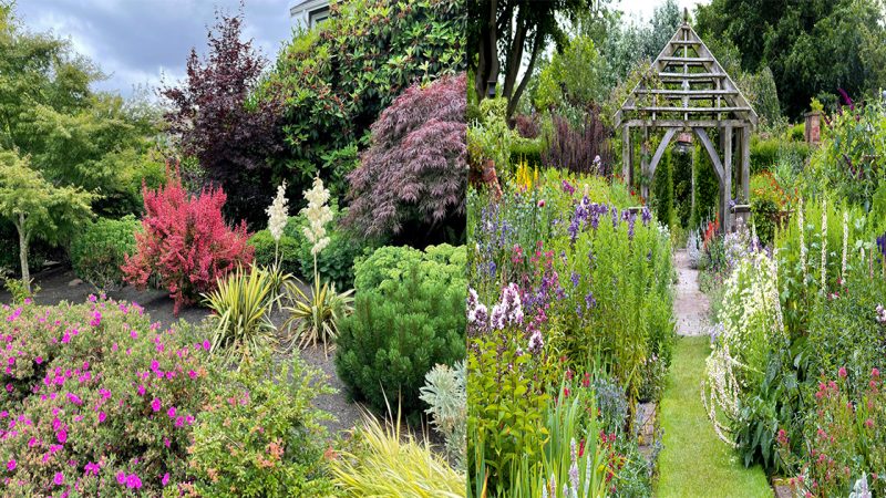 Small is beautiful! You don’t need rolling acres to create a glorious garden, and if you follow these simple tips to maximise your space, even the tiniest plot can look magical, writes MONTY DON