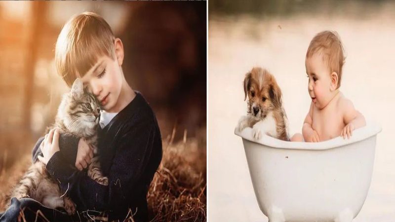 Admire the series of photos of children and pets to see how gentle but warm, peaceful and lovely this friendship is