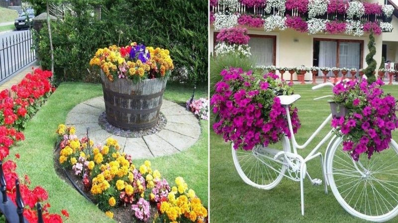 Interesting ideas for your flower beds