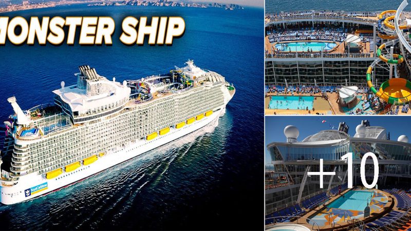 Unveiling the Grandeur: Exploring the World’s Largest Cruise Ship.(Video)