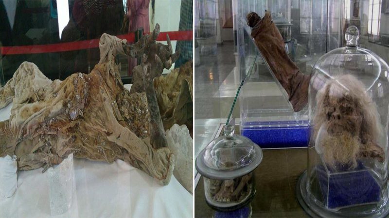 “Unveiling Iran’s Astonishing Salt Mummies: Perfectly Preserved from Head to Toe”