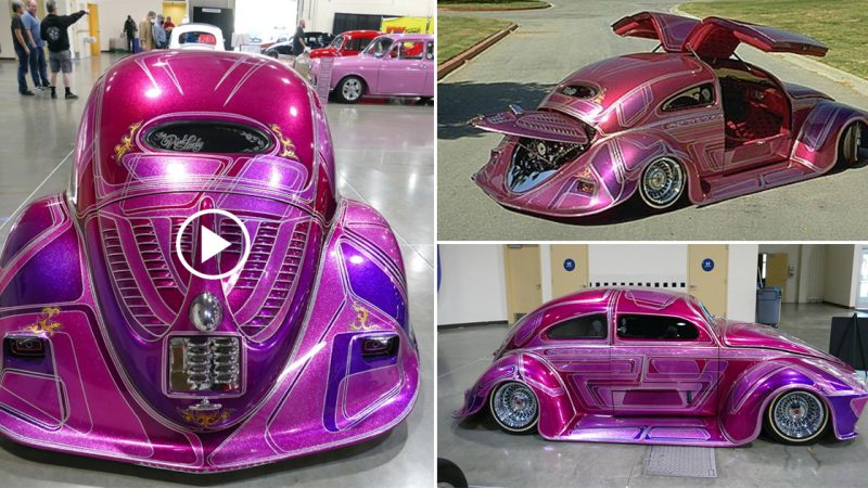 1955 Volkswagen Cox – Pink Lady