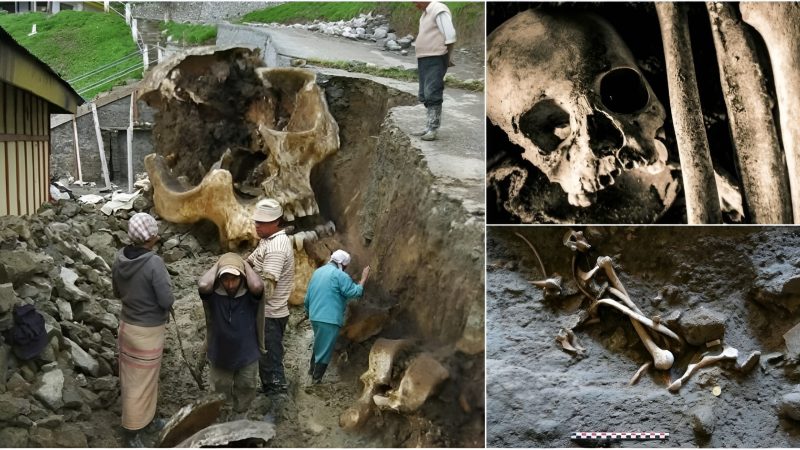 Shocking Archaeological Discoveries: Giant Skull Suddenly Revealed After Earthquake and Torrential Rain