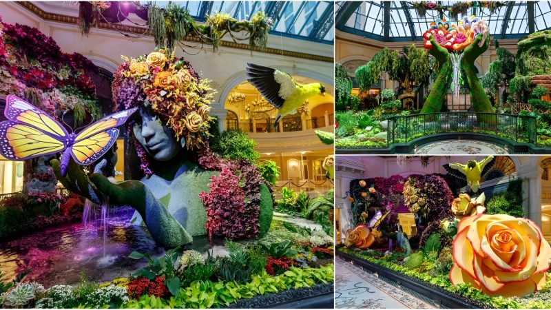 “Majesty: The Grandeur of Nature” Showcases Bellagio’s Conservatory & Botanical Gardens’ Celebration of Summer’s Beauty