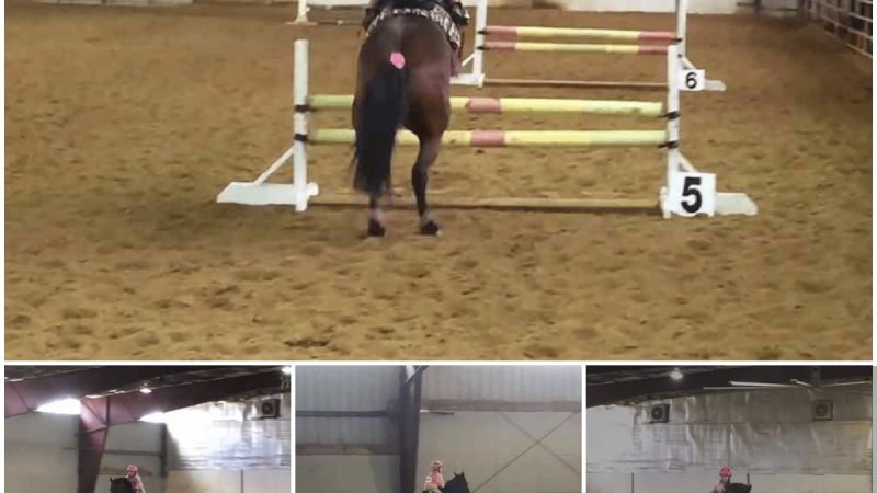 Young Wonder: 5-Year-Old Stuns Spectators with Remarkable 2’6” Horse Jumping Talent.