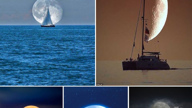 Rare Encounter: Moon and Sailboat Captivate the Scene