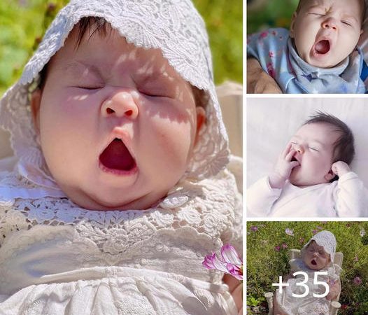 Baby’s Adorable Yawns Trigger Unstoppable Contagion