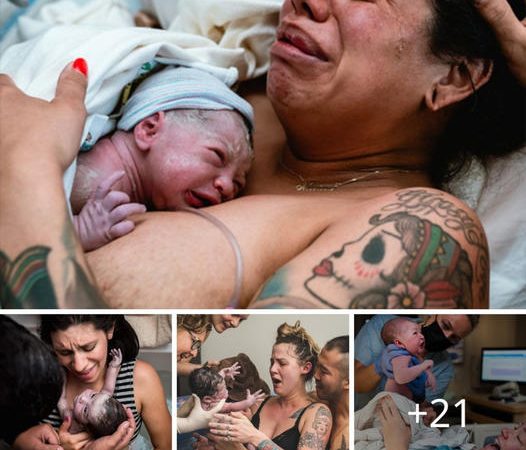 Captivating Photo of Childbirth Elicits Compassion in Online Community, Revealing Delicate Resilience