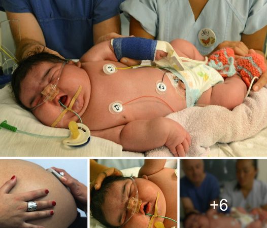 German Mother Welcomes 13.47-Pound Baby Girl into the World