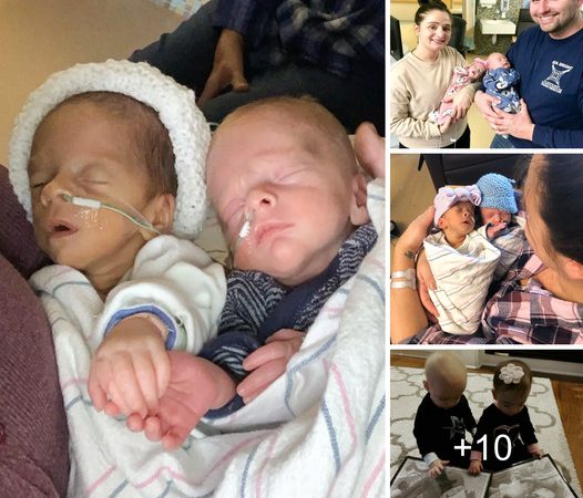 Tiny Premature Twins Struggle for Life, Holding Hands in a Magical Moment