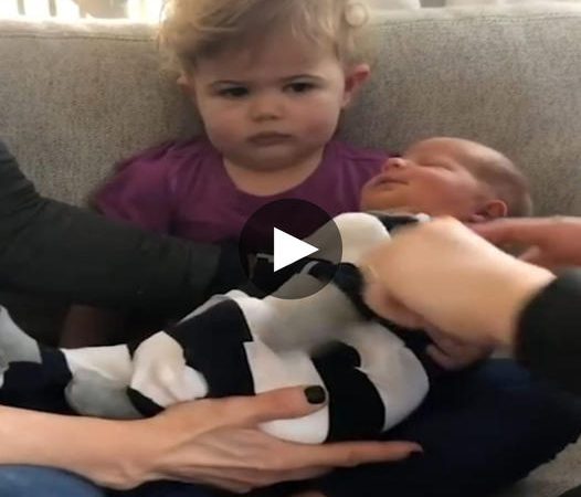 Toddler’s Unpredictable Reaction to Meeting Baby Brother for the First Time